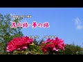 『花の旅・夢の旅』丘みどり カラオケ 2020年5月27日発売