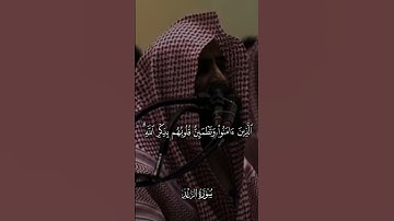 #تلاوة_خاشعة #القرآن_الكريم #قران_كريم  #تلاوات #قرآن #القرآن #تلاوة #قران #محمد_اللحيدان