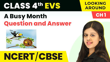 A Busy Month - Question and Answer | Class 4 EVS