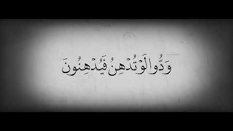 Share سورة القلم ( فلا تطع المكذبين) ♥️