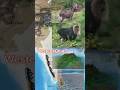 How important are Western Ghats? #shorts #shortvideo #shortsfeeds #amazingfacts