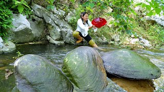 😱The girl discovered a giant clam, which nurtured charming pearls that were breathtaking in beauty