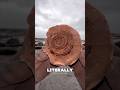 Cracking A 185 Million Year Old Stone