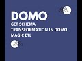 Get Schema Transformation Domo