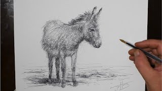 how to draw a little donkey like a master of art