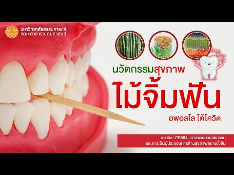 วีดีโอ: ข้อมูลพืชไม้จิ้มฟัน: เรียนรู้เกี่ยวกับการดูแลต้นไม้ฟันเฟือง