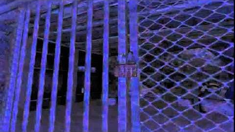 Penumbra Overture Part 2 SPIDERS!