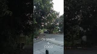 WELCOMING with Dji SPARK & COCO roadto2ksubscribers