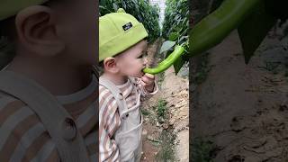 This kid wants to try everything. Is this cool? #funny #cutebaby