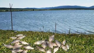 Рыбалка на карася на удочку и закидушки. рыбалка на поплавок 2023 (ловля карася)