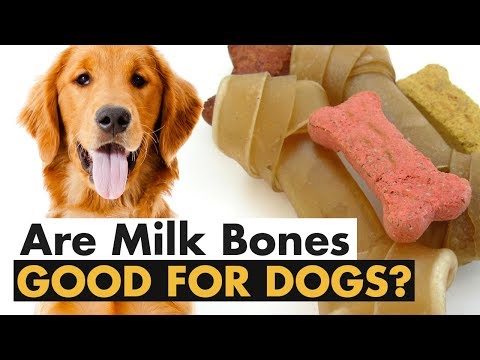 is milk bone bad for dogs