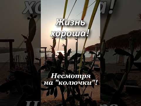 Жизнь хороша! Несмотря на 'колючки'