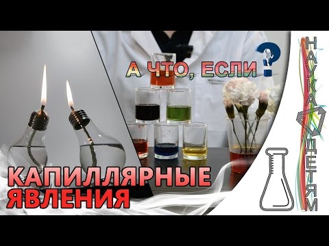 А что, если..? Капиллярные явления/And what if..? Capillary effect