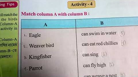 Wings Support Material (ENGLISH) Class3 Part 2 (Self Check Page no:77-81).