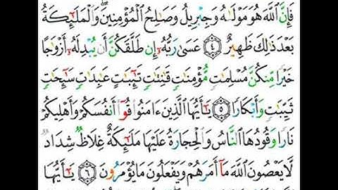 066 سورة التحريم من الاية 4 إلى 7