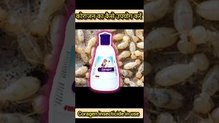 सभी  कीटो मारने वाले कीटनाश| coragen insecticide short shorts shortvideo kitnashakduniya