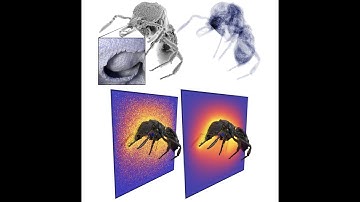 Monte Carlo Geometry Processing