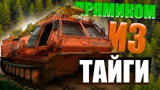 #Отмыли После Болота И Тайги! Ктм-12В (Мт-Лб)