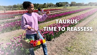 What do you want? Taurus season 2023