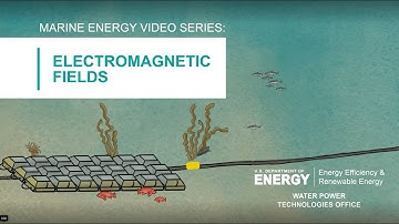 Marine Energy Video Series: Electromagnetic Fields