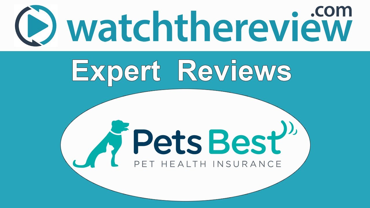 Pets Best Review Pet Insurance Youtube
