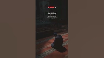 تلاوة مؤثرة لسورة الإخلاص تبكي القلوب | Quran Surah Al Ikhlas
