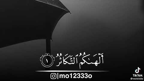 الشيخ خالد جليل سورة التكاثر