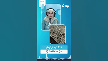 لا تشتروا الزقوقو من هذه الاماكن د محمد الرابحي يحذر 