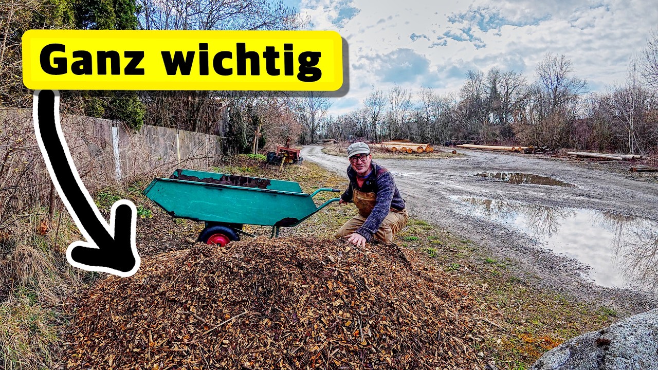 Super wertvoll im Garten | jetzt Erdbeeren pflanzen, Hühner und Kompost