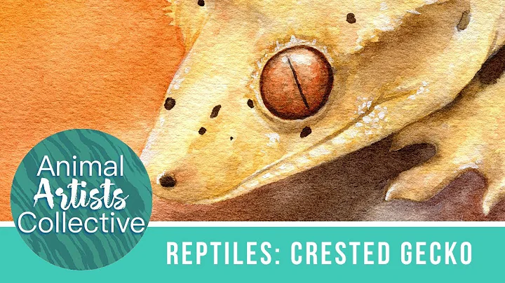 Animal Artists Collective: Reptiles | Crested Geckos