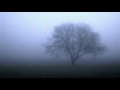 MEDINE Remix By Fd 13 MEDINE Remix By Fd 13