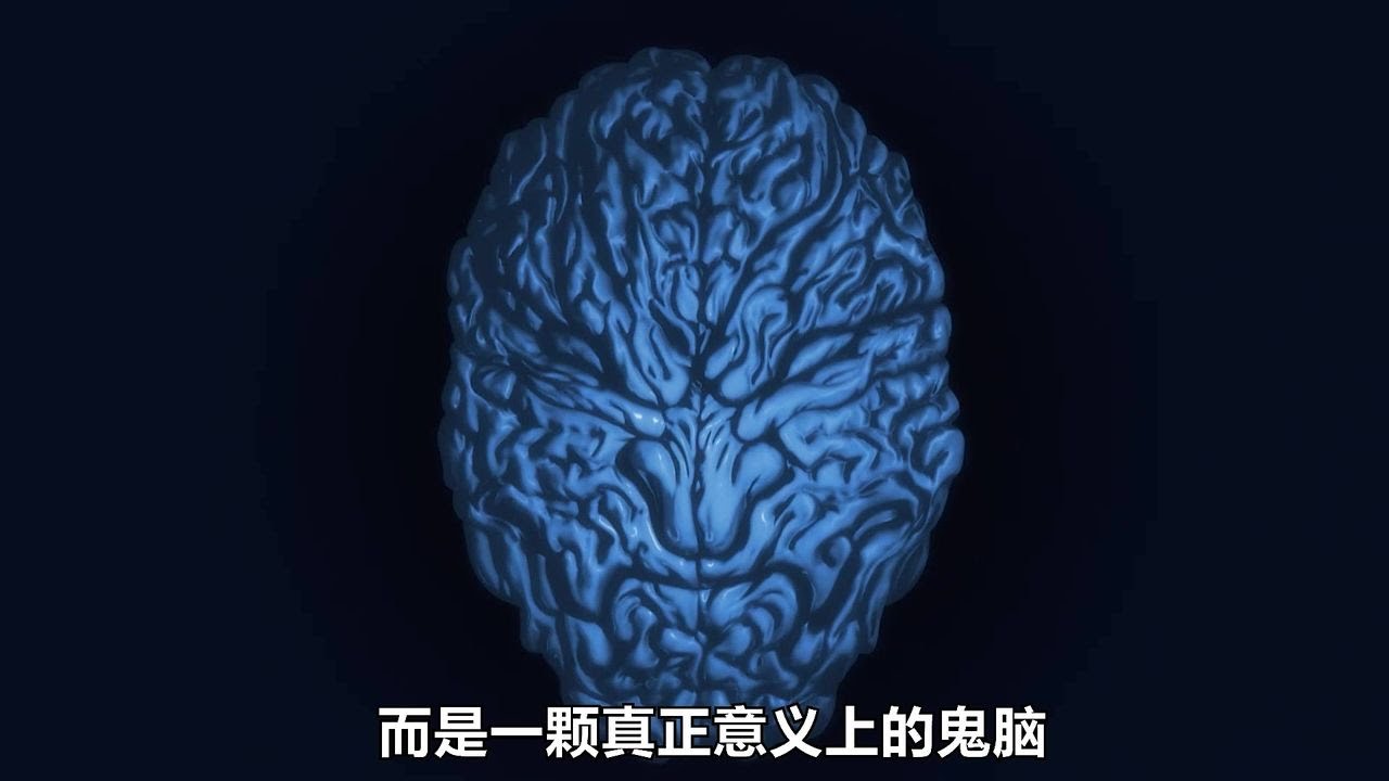 刃牙的鬼腦究竟有多可怕？梢江與刃牙時隔半年再次相見！#動漫 #動漫解說 #動畫解說 #電影解說 #拳願阿修羅 #動漫 - YouTube