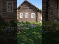 Музыкальное утро в деревне #деревня #цветы #plants