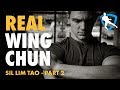 Wing Chun Applications - Sil Lim Tao Part 2