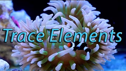 Quick Chemistry: Trace Elements in the Reef Aquarium