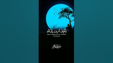 ترتيل وافوض امري الى الله [حالات واتس قرآن كريم[ بصوت جميل قرآن حالات واتس حالات واتساب قرآن راحه