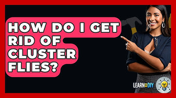 How Do I Get Rid of Cluster Flies? - LearnToDIY360.com