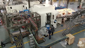 20000BPH PET Bottle Carbonated Drink 8 50 12 Combiblock Commissioning