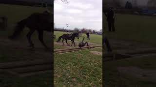 Horse drops girl in ditch
