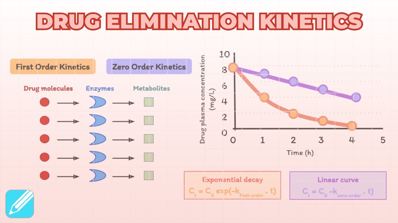 First-Order vs Zero-Order Elimination Kinetics | Pharmacology