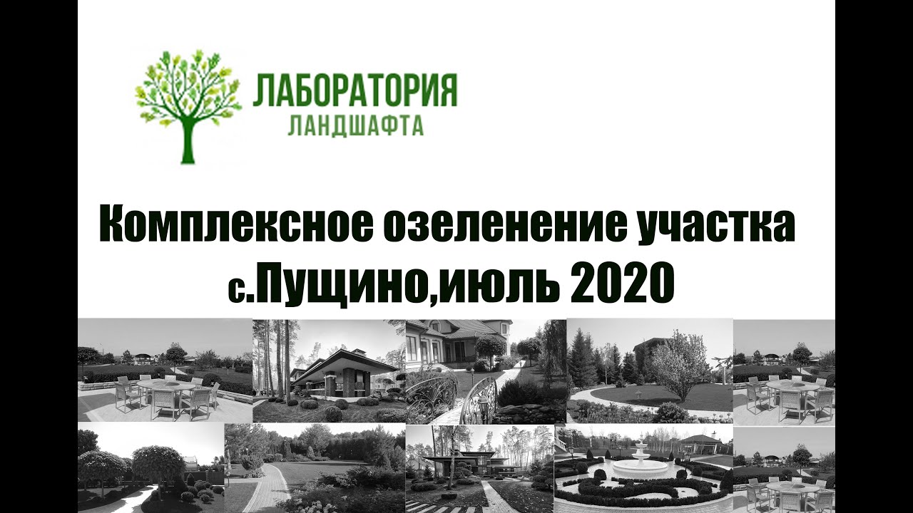 ⁣Комплексное озеленение участка с.Пущино,Симферопольское шоссе, 2019