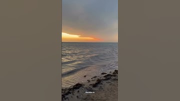 سورة آل عمران القارئ عمر ضياء الدين 🤍. #قرآن #اكسبلور #quran #قران #اسلاميات #راحة_نفسية
