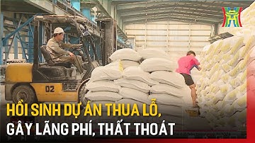 Hồi sinh dự án thua lỗ, gây lãng phí, thất thoát | Tin tức