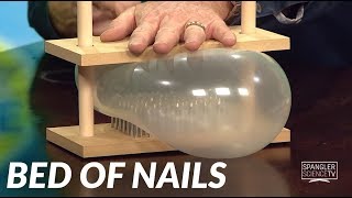 Bed of Nails - Cool Science Experiment