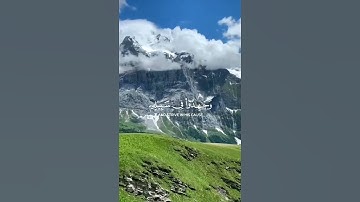 ﴿ يَـٰٓأَيُّهَا ٱلَّذِينَ ءَامَنُوا۟ ٱتَّقُوا۟ ٱللَّهَ ﴾سورة المائدة – الآية 35 #ارح_قلبك #القرآن
