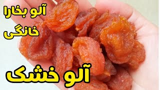 آموزش آلو بخارا خانگی | خشک کردن آلو