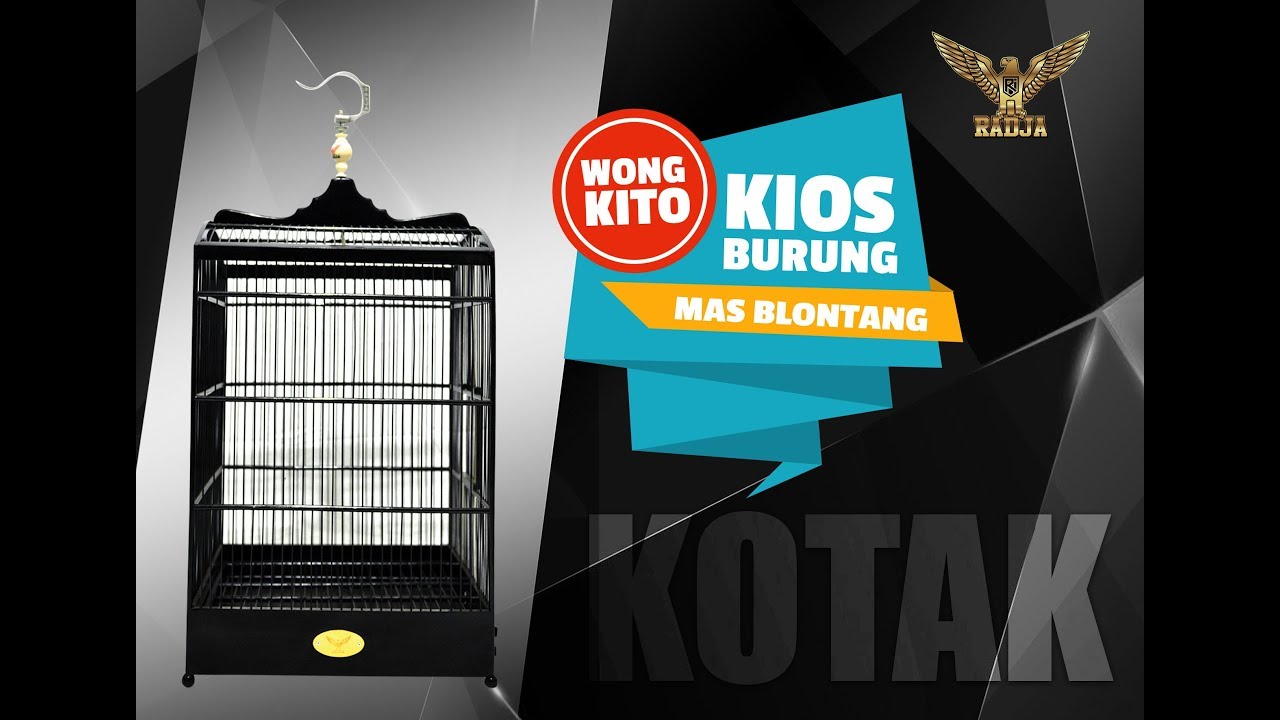 HALO PALEMBANG Mas Blontang Kios Burung  WONG KITO Jual 