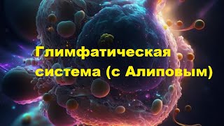 Глимфатическая Система С Алиповым