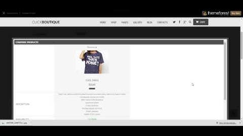 Click Boutique   WordPress WooCommerce Theme +Download Link