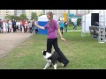 Танец с собакой на Охта Fest